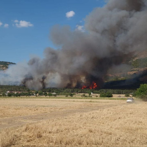 Incendiu în Muntii Macinului: eforturi vechi și noi pentru stingere