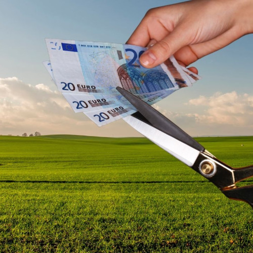 reforma bugetară în UE: fermierii europeni, îngrijorați de eliminarea subvențiilor directe