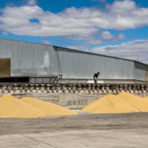 Incendiile de vegetație din Europa depășesc media din ultimele două decenii