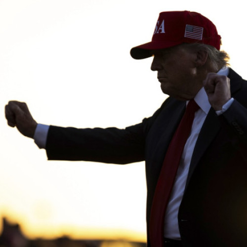 mișcarea maga în fața temerilor de subminare și scandalul epstein