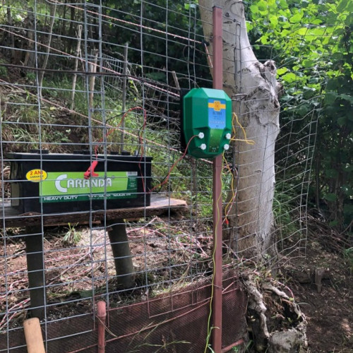 Primăria Râșnov a instalat primii 800 de metri de gard electric pentru a proteja localnicii de urși