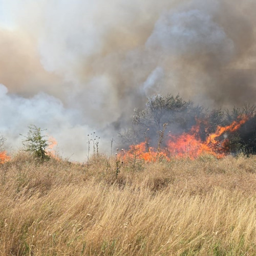 Incendiu la o fermă din Nuntași