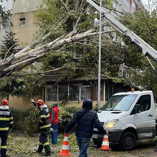 Primăria Constanța, parte într-un dosar de despăgubiri pentru un autoturism avariat de un copac prăbușit