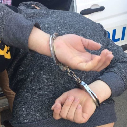 Tânăr de 23 de ani, din comuna Adăbeni, județul Botoșani, reținut pentru furt de bovină