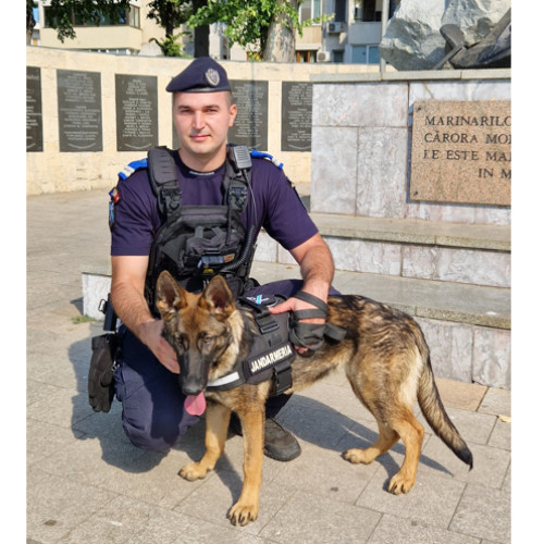 arrea, un nou instrument în lupta contra drogurilor