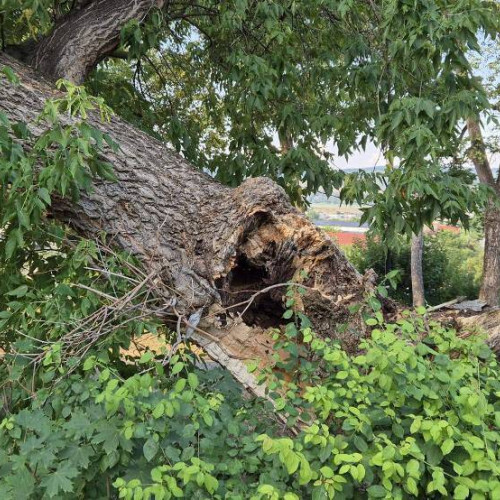 Trafic îngreunat pe DN 74 în zona Poiana Ampoiului din județul Alba