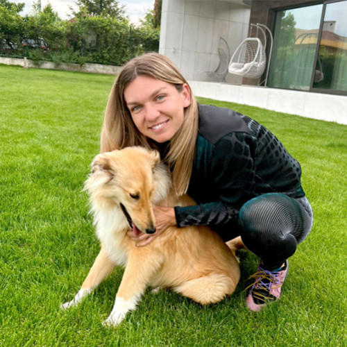 simona halep clarifică legătura cu o carte despre ea, după confuzii pe rețelele sociale