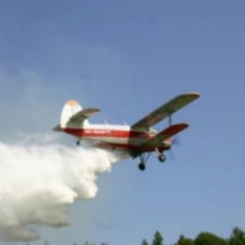 Primăria Târgoviște anunță o acțiune de combatere a insectelor de disconfort în iulie