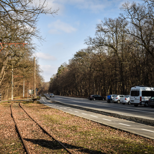 Consiliul județean Sibiu lansează licitație pentru amenajarea parcurilor din zona Muzeului ASTRA