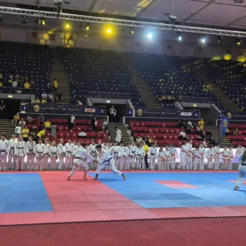 ESSF open combat games 2025 aduce împreună peste 3.000 de elevi din Europa la București