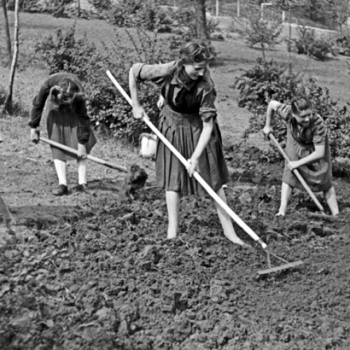 Dispute între cele 16 state federale ale Germaniei privind perioada vacanțelor de vară