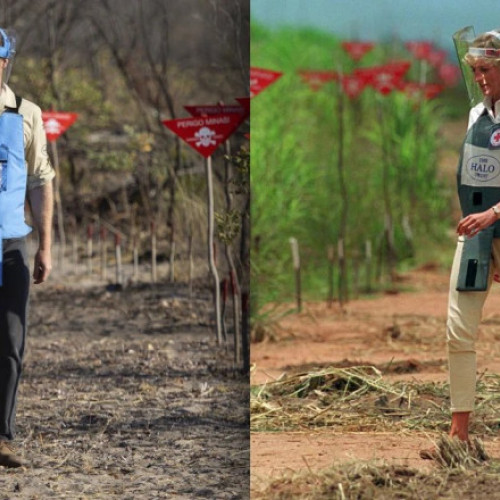 printul Harry a vizitat Angola pentru a sprijini organizatia caritabila halo trust, care lupta impotriva minelor antipersonal, urmandu-i astfel pasii mamei sale, printesa Diana. Potrivit digi24.ro, acesta a vizitat un sat situat aproape de un camp minat si s-a intalnit cu copii care primesc instructaje despre cum sa evite explozibilii ramasi din perioada razboiului civil. Organizatia Halo Trust a eliminat peste 120.000 de mine din Angola, tara afectata de conflicte de lunga durata. Se estimeaza ca din 2008, aproximativ 60.000 de persoane si-au pierdut viata sau au fost ranite din cauza minelor, iar inca 1.000 de campuri minate trebuie curatate.