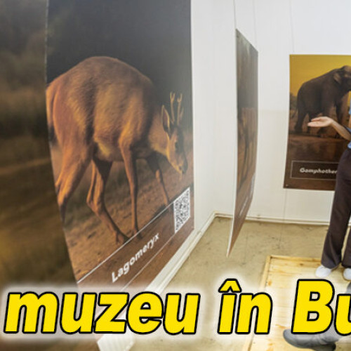 Muzeul „Povestea trovantilor” a fost inaugurat în comuna buzoiană Bozioru