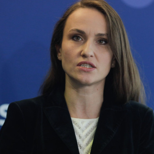 ministrul de externe, Oana Toiu, susține introducerea taxelor pentru anumite servicii consulare