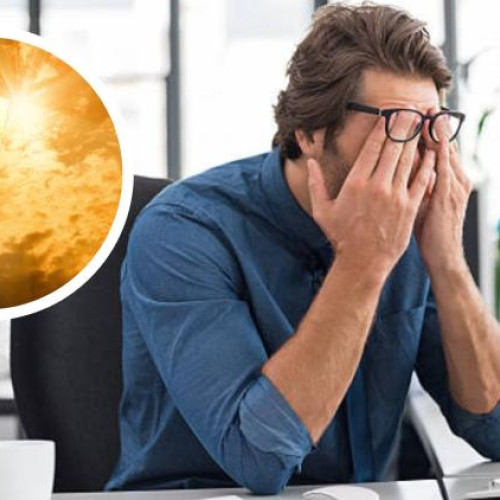 propunere pentru munca de acasă în timpul caniculei devine virală în România