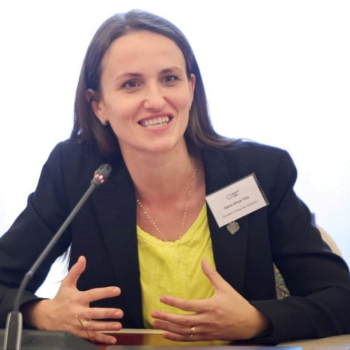 ministrul de externe susține introducerea unei taxe pentru anumite servicii consulare