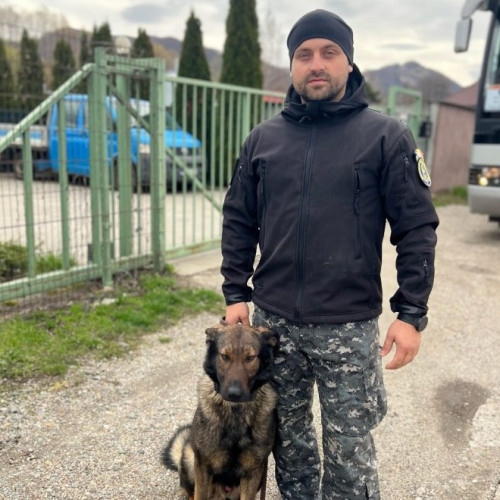 activitate de politie în maramureș pentru siguranța rutieră și prevenirea riscurilor