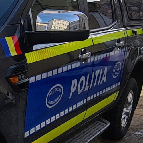 Incident cu un câine periculos plimbat fără botniță în Focșani