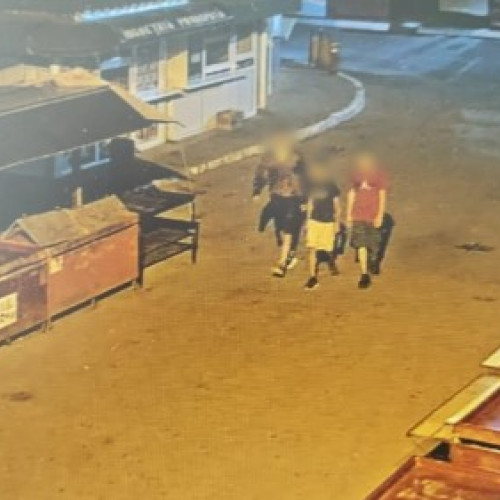 Trei tineri surprinși în timpul furtului în Piața Centrală din Botoșani