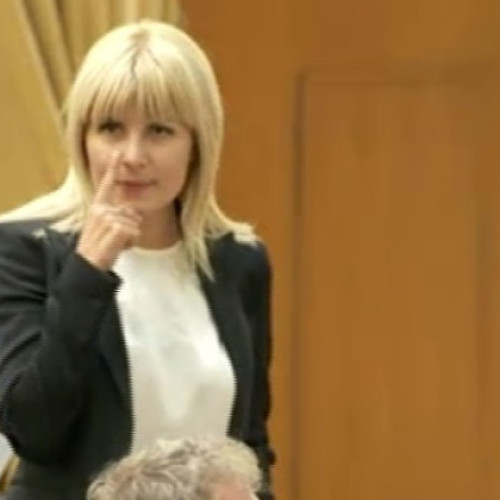 elena udrea: „nu am fi avut ce sa spun procurorilor pentru a scapa de inchisoare”