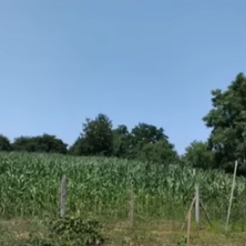 Scandal între surori pentru o moștenire de teren în comuna Sulița, județul Botoșani