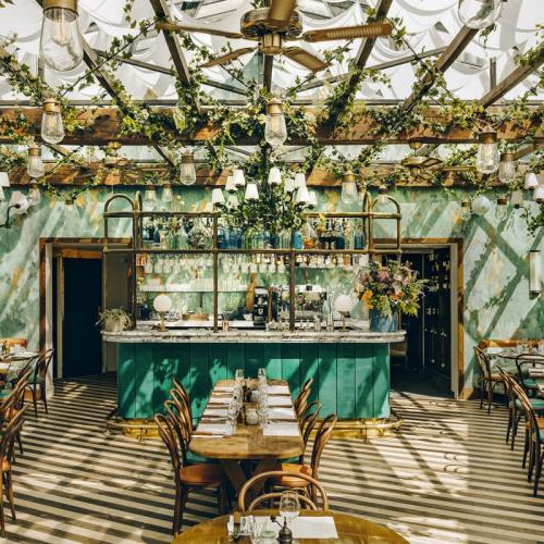 numirea restaurantelor din cluj: o tendință controversată în scena gastronomică locală