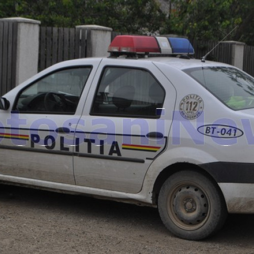 Tânăr de 30 de ani amendat pentru transport ilegal de material lemnos