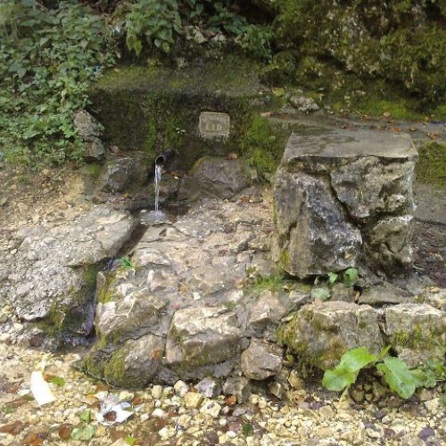 brasov: izvorare de apa contaminate pun in pericol sanatatea locuitorilor