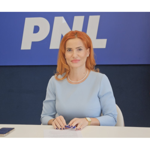 deputata arina mos a obtinut importante succese legislative în ultimele șase luni