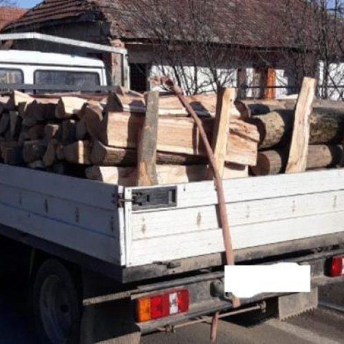 Descoperire a unui transport ilegal de lemne în județul Botoșani