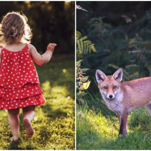 incident grav în Parcul Natural Apuseni, Judetul Cluj