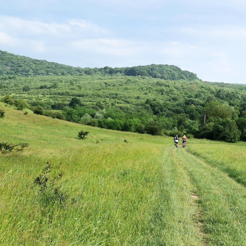 Proiect de ecoturism pe dealurile Gusteriței, aprobat pentru implementare