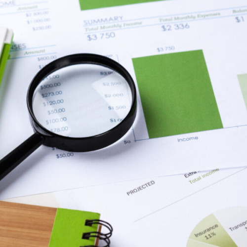 Executia bugetului de stat pentru 2024 a fost aprobată și supusă verificării