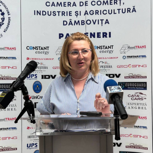 Antreprenorii damboviteni, ingrijorati de noile masuri fiscale si de mediul economic instabil