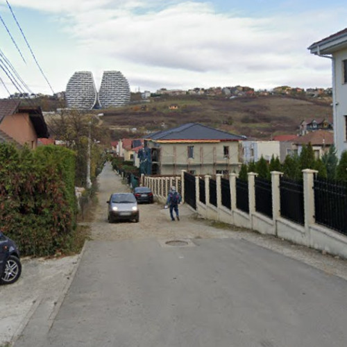 conflicte pe strada dinicu golescu din cluj-napoca privind lucrarile si intretinerea drumului privat