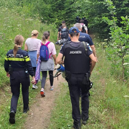 ursul a fost indepartat din zona cascadei sipote 2 din comuna salciua