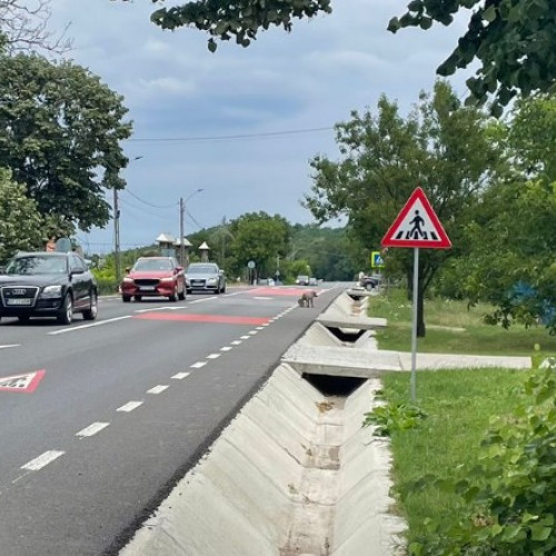 Doi mistreti au blocat traficul pe drumul european E58 în Zaicesti