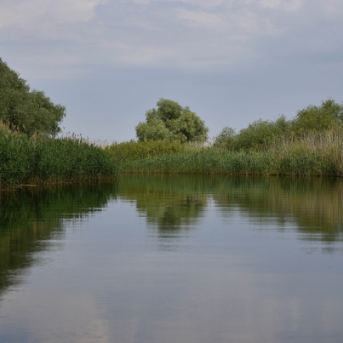Doi copii loviti de un ski-jet pe Dunare, în zona Gostinu