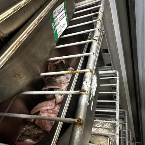 Primul control al ANPC în cluburile din Vama Veche și Costinești înregistrează mai multe nereguli