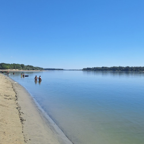 vicii pe fluviul Dunărea, în zona plajei Gostinu