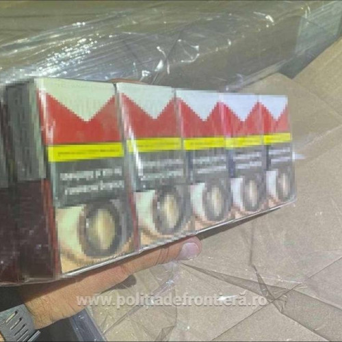 Descoperiri de țigări de contrabandă în județul Giurgiu și Dolj
