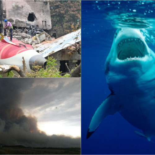 supravietuitorii dezastrului: povești de curaj și vindecare