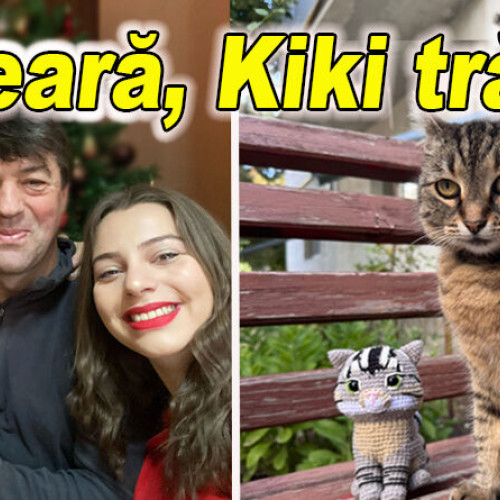 story despre moartea unei pisici din buzău