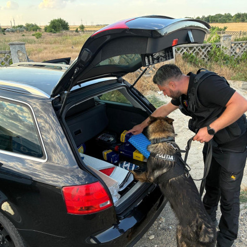 Razie a poliției în Medgidia pentru menținerea ordinii publice