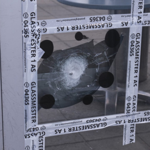 Suspect arestat după schimb de focuri într-un centru comercial din Oslo