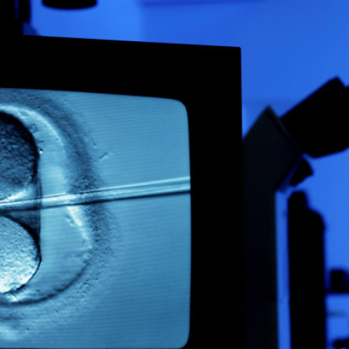 Primii copii născuți în Marea Britanie folosind tehnica celor trei persoane pentru a preveni boli mitocondriale