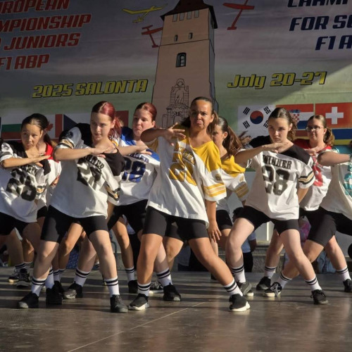 Salonta devine centru european pentru zborul liber cu aeromodele