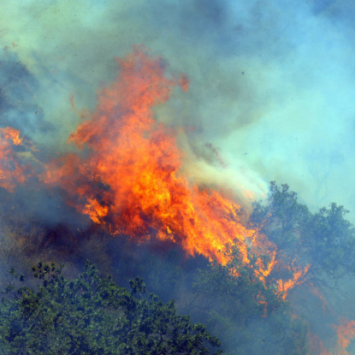 Alertă de incendii în Sicilia pentru cetățenii români