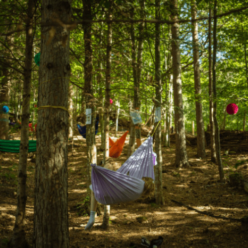 Artistii vizuali sunt invitați să participe la cea de-a șaptea ediție a Vadoo Fest, un festival unic de muzică și artă care va avea loc între 21 și 24 august 2025 în cadrul natural spectaculos din Vadu Oii, comuna Gura Teghii. Potrivit opiniabuzau.ro, organizatorii lansează un apel pentru pictori, ilustratori și desenatori interesați să creeze liber, în aer liber, și să expună lucrările într-un mediu autentic și neconvențional.