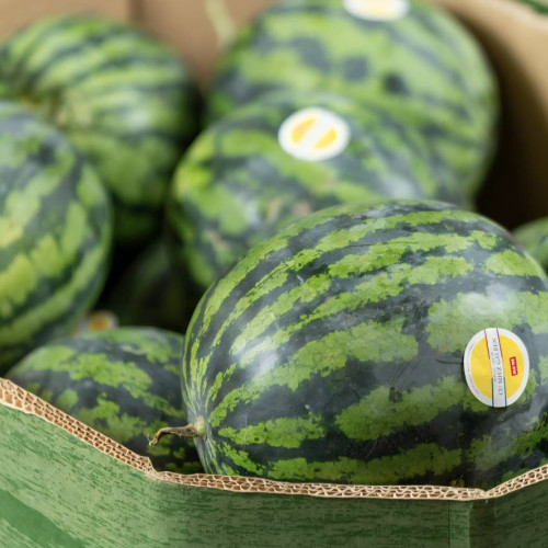 Lidl Romania susține agricultura locală prin pepeni românești de sezon